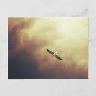 Postal Postcarta sobre vida salvaje sudafricana "espíritu