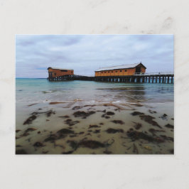 Postal Postcarta soñadora de Queenscliff