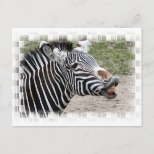 Postal Postcarta zebra sonriente