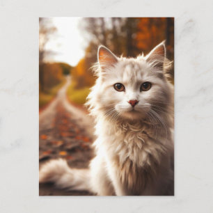 Postal POSTCARTAS AUTUMN DE gato blanco