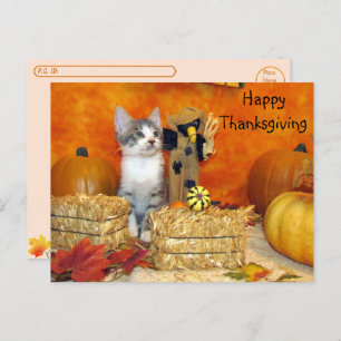 Postal Postcross - acción de gracias de cerdo chop - gato