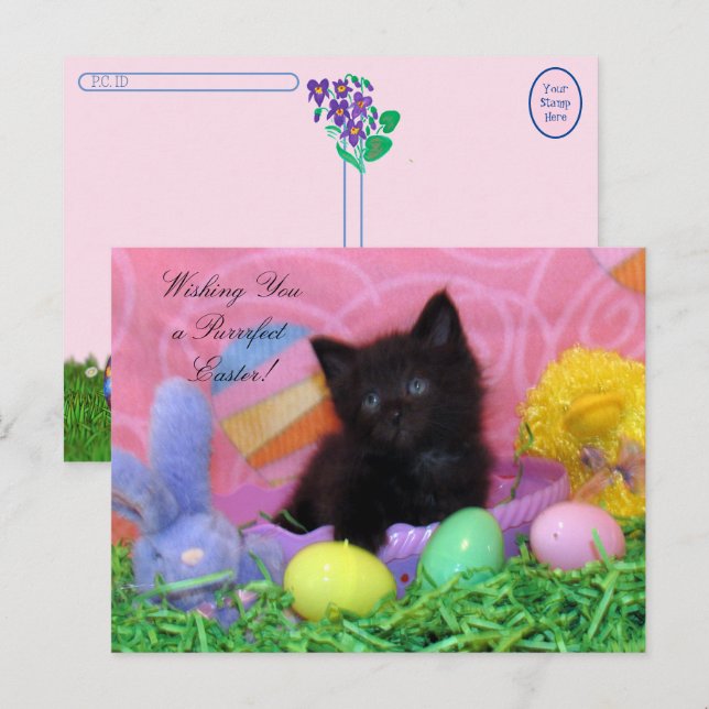 Postal Postcross - Angel the Kitten's Easter Wishes (Anverso / Reverso)