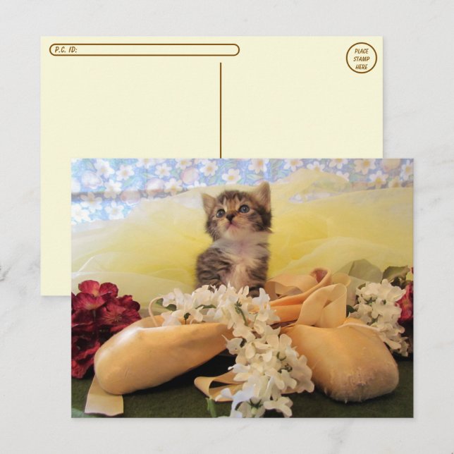 Postal Postcross Ballerina Kate Cat / Postcard Kitten (Anverso / Reverso)