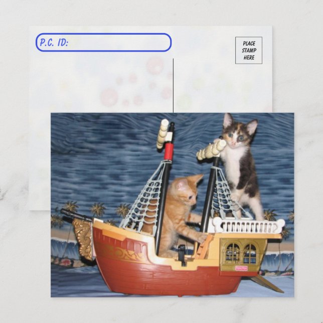Postal Postcross - Gatitos piratas - Gato / Gatito (Anverso / Reverso)