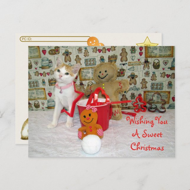 Postal Postcross - Navidades de Annie Cat Gingerbread (Anverso / Reverso)