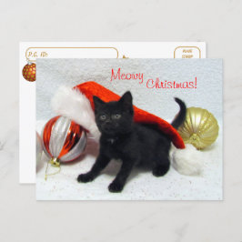 Postal Postcross - Navidades de Joon - Gato / Gatito