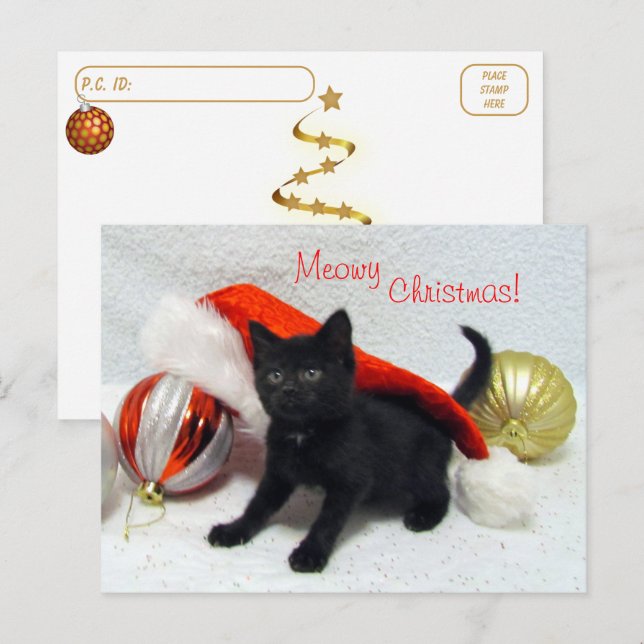Postal Postcross - Navidades de Joon - Gato / Gatito (Anverso / Reverso)