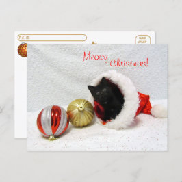 Postal Postcross - Navidades de Joon - Gato / Gatito