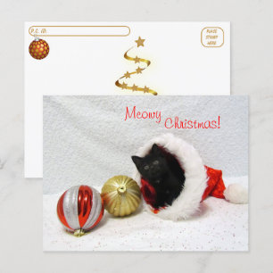 Postal Postcross - Navidades de Joon - Gato / Gatito