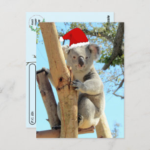 Postal Postcross - Navidades de Koala