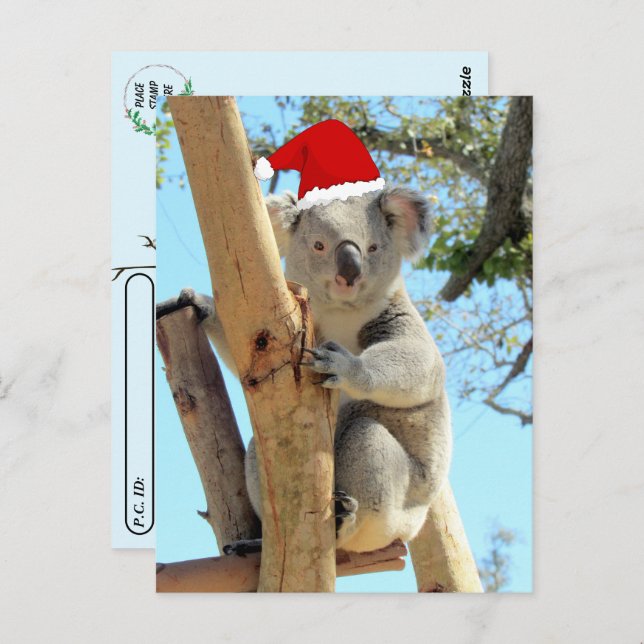 Postal Postcross - Navidades de Koala (Anverso / Reverso)