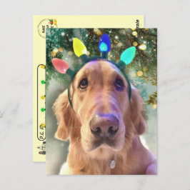 Postal Postcross - Navidades de Nova Golden Retriever