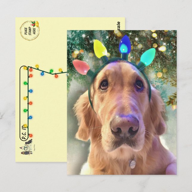 Postal Postcross - Navidades de Nova Golden Retriever (Anverso / Reverso)
