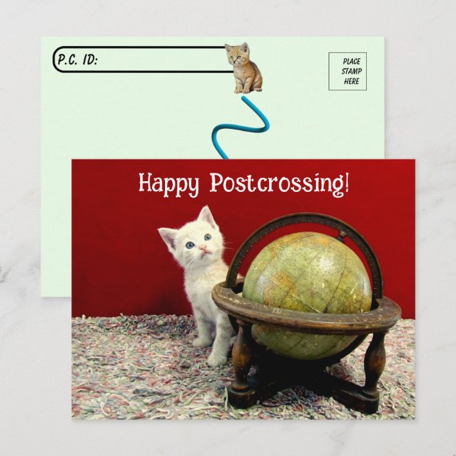 Postal Postcross - Tuffy McDuff Alrededor Del Gato Mundia (Anverso / Reverso)