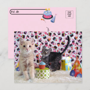 Postal Postcrossing - Feliz Cumpleaños -  Gato