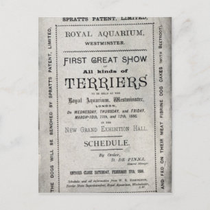 Postal Poster anunciando el Club Allied Terrier