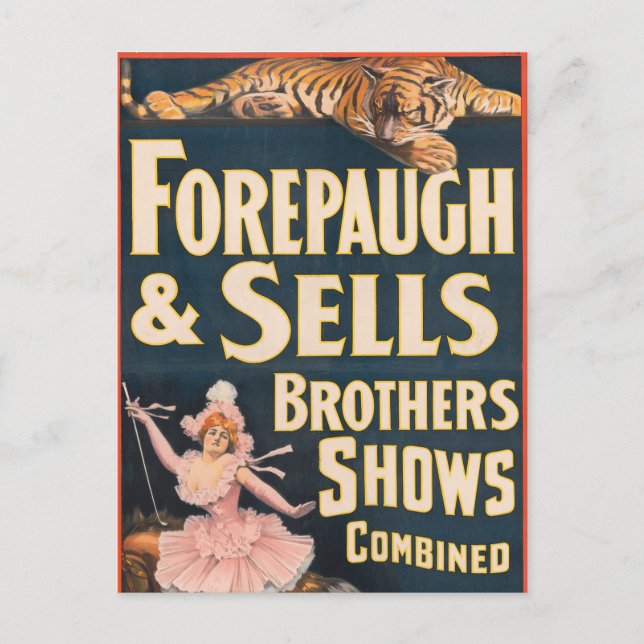 Postal Poster Circo De Tigre Y Mujer A Caballo (Anverso)