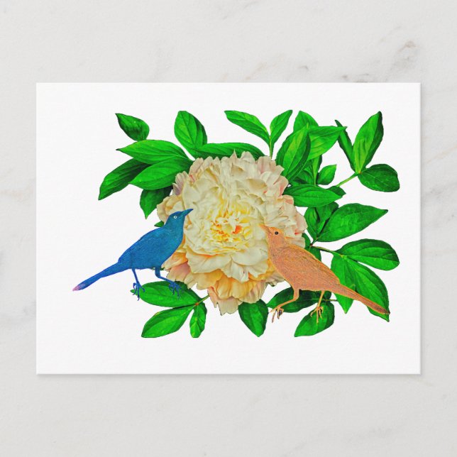 Postal Poster de Aves y Flores (Anverso)