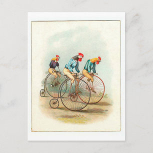 Postal Poster de bicicletas de época, gallos de penifarth