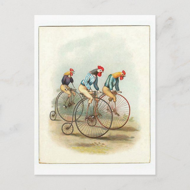 Postal Poster de bicicletas de época, gallos de penifarth (Anverso)