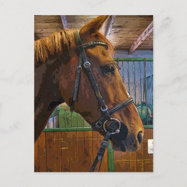 Postal Poster de caballos (Anverso)