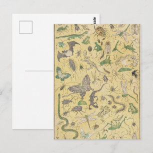 Postal Póster de Chinoiserie japonés de bichos e insectos