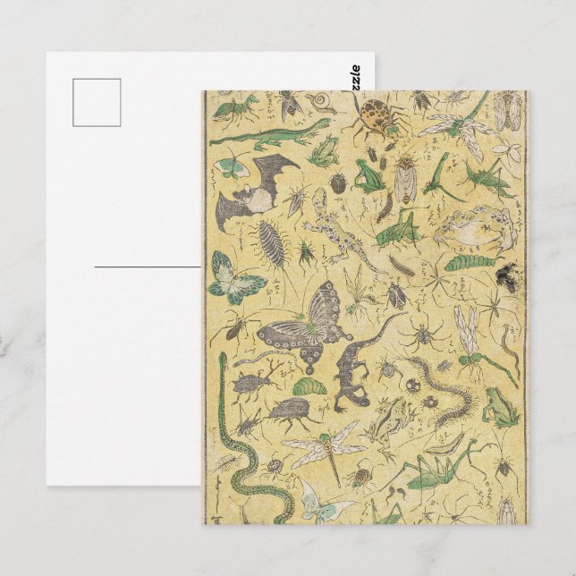 Postal Póster de Chinoiserie japonés de bichos e insectos (Anverso / Reverso)