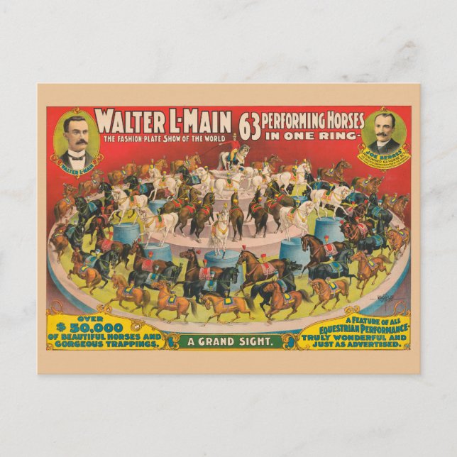 Postal Poster De Circo De 63 Caballos De Ejecución En Un  (Anverso)