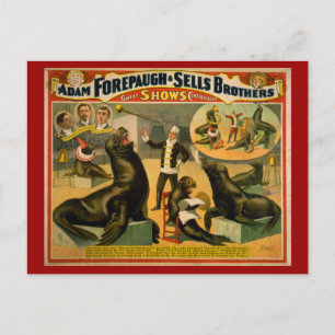 Postal Poster de circo de leones y focas marinas educados
