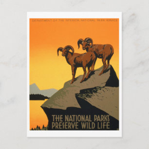 Postal POSTER de Conservación de la Vida Silvestre de VIn