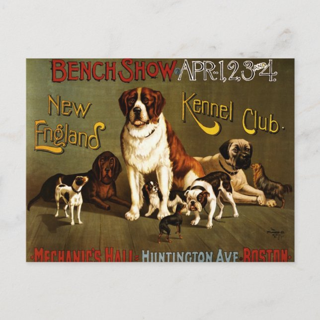Postal Poster de espectáculos del New England Kennel Club (Anverso)