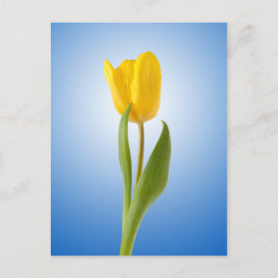 Postal Poster de fotografía de la naturaleza floral mínim