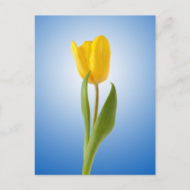 Postal Poster de fotografía de la naturaleza floral mínim (Anverso)