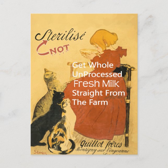 Postal Poster de la leche de cosecha de gatitos (Anverso)