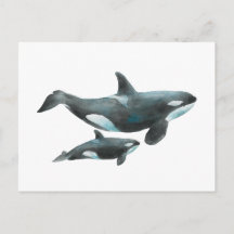 Póster de orca ballena madre y bebé en acuarela