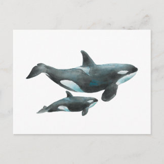 Postal Póster de orca ballena madre y bebé en acuarela