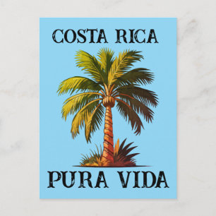 Postal Póster de palma de Costa Rica pura vida
