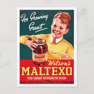 Postal Póster de publicidad vintage de Nueva Zelanda