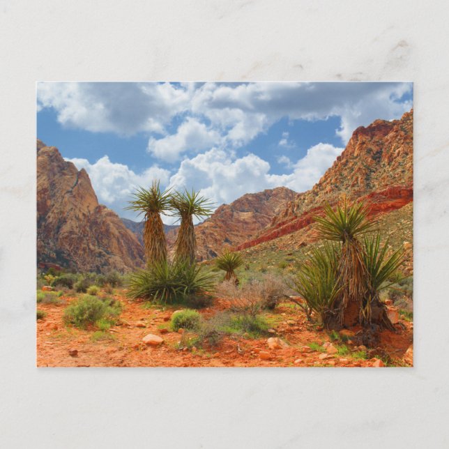 Postal Poster de Red Rock Canyon Spring Mountain Ranch (Anverso)