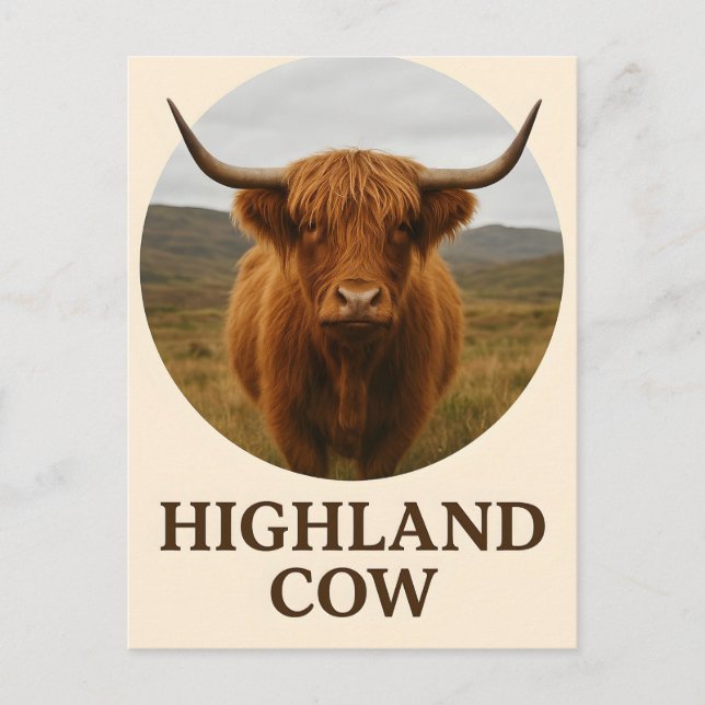Postal Póster de retrato de vaca de las Highlands con "Va (Anverso)