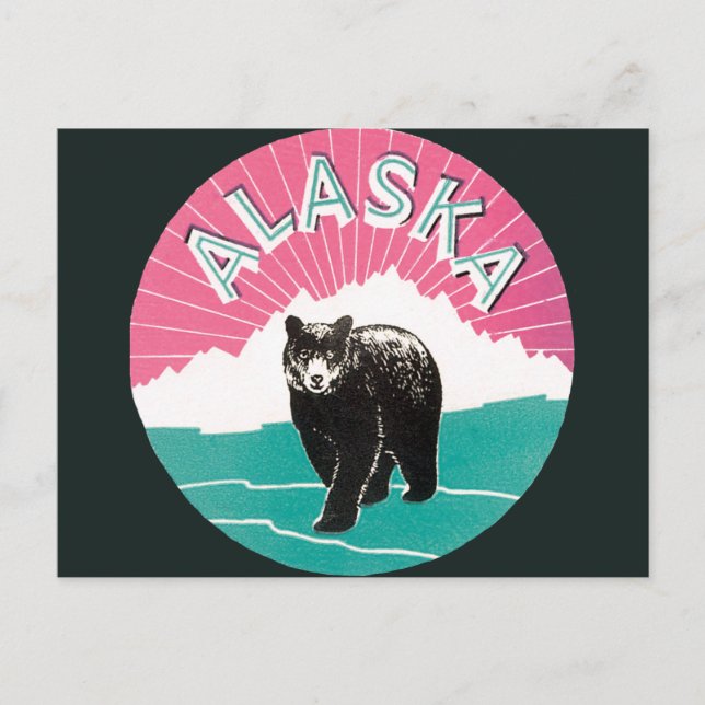 Postal Poster de viajes de época, oso negro de Alaska en  (Anverso)