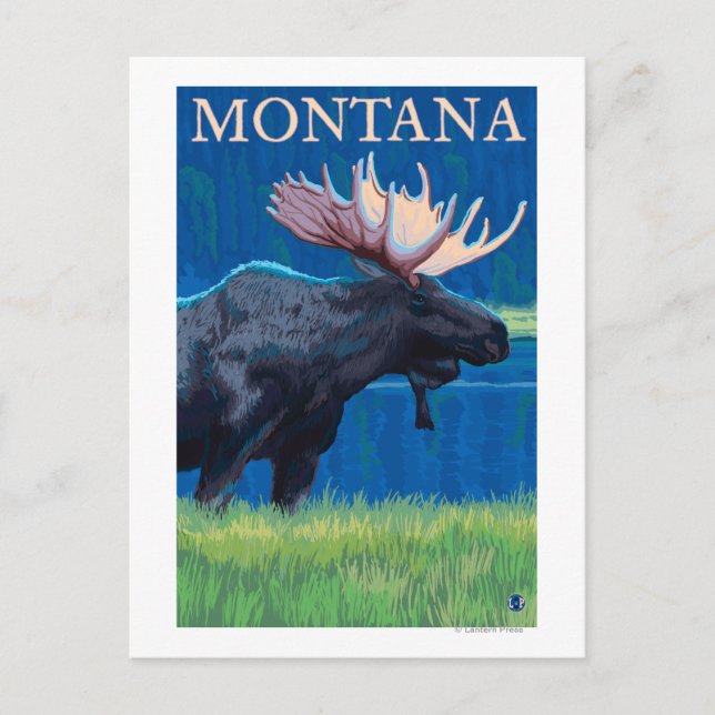 Postal Poster de Viajes de MontanaMoose Vintage (Anverso)