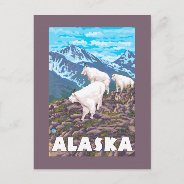 Postal Poster de Viajes Vintage de las Cabras de Alaska (Anverso)