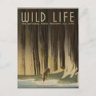 Postal Poster de Viajes Vintage - Wildlife, alrededor de