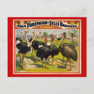Postal Poster del circo de aves gigantes - Forepaugh y Ve