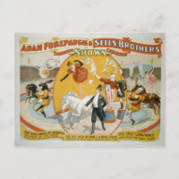 Poster del circo de las señoras del año