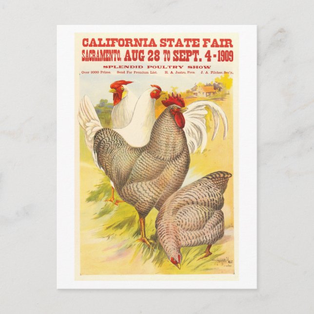 Postal poster Estatal de Aves de Corral de California de  (Anverso)
