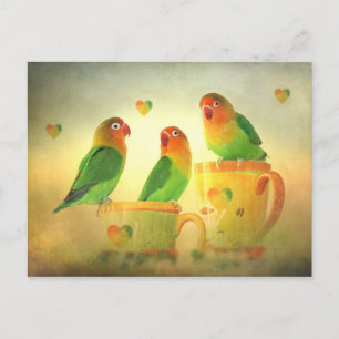 Postal Postkarte