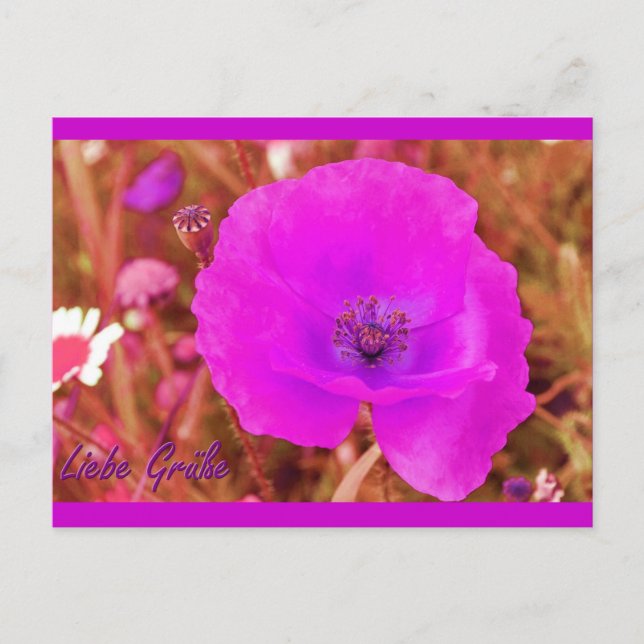 Postal Postkarte (Anverso)