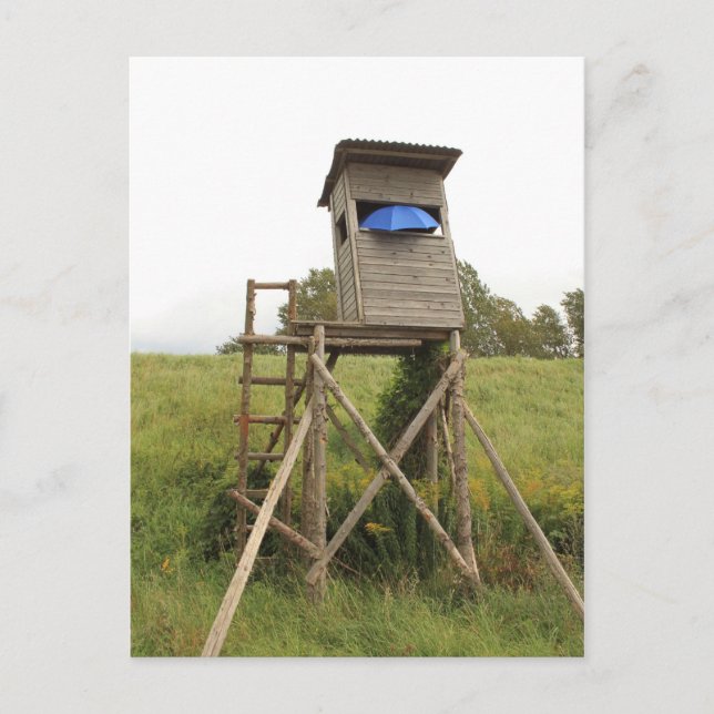 Postal Postkarte - auf der Pirsch (Anverso)